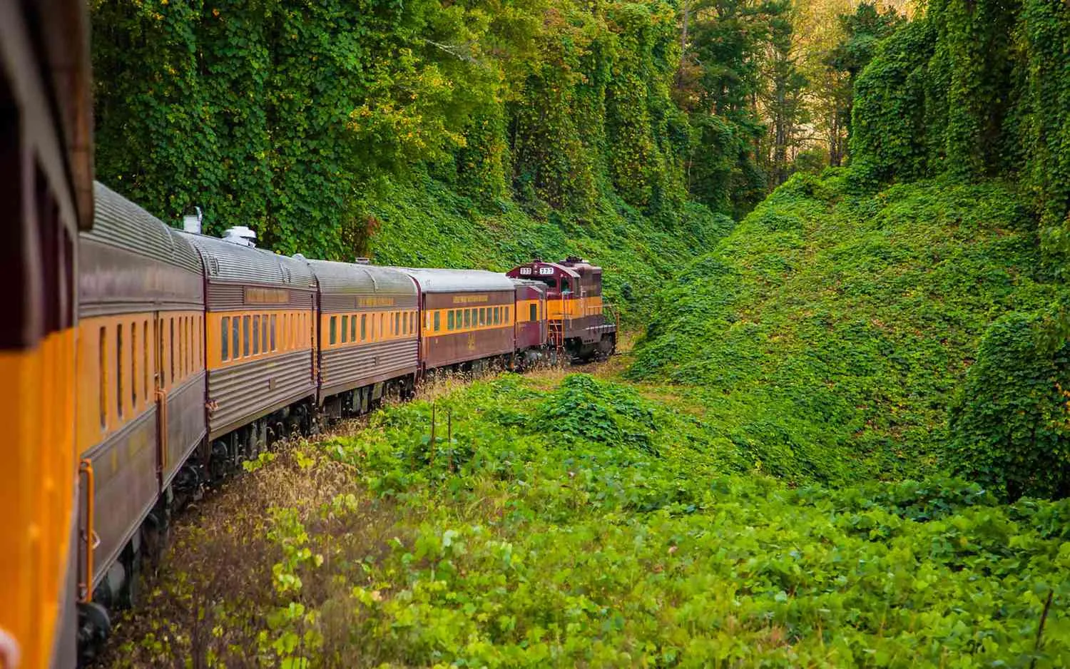 Great Smoky Mountains Railroad train traveling along scenic river with passengers enjoying mountain views
