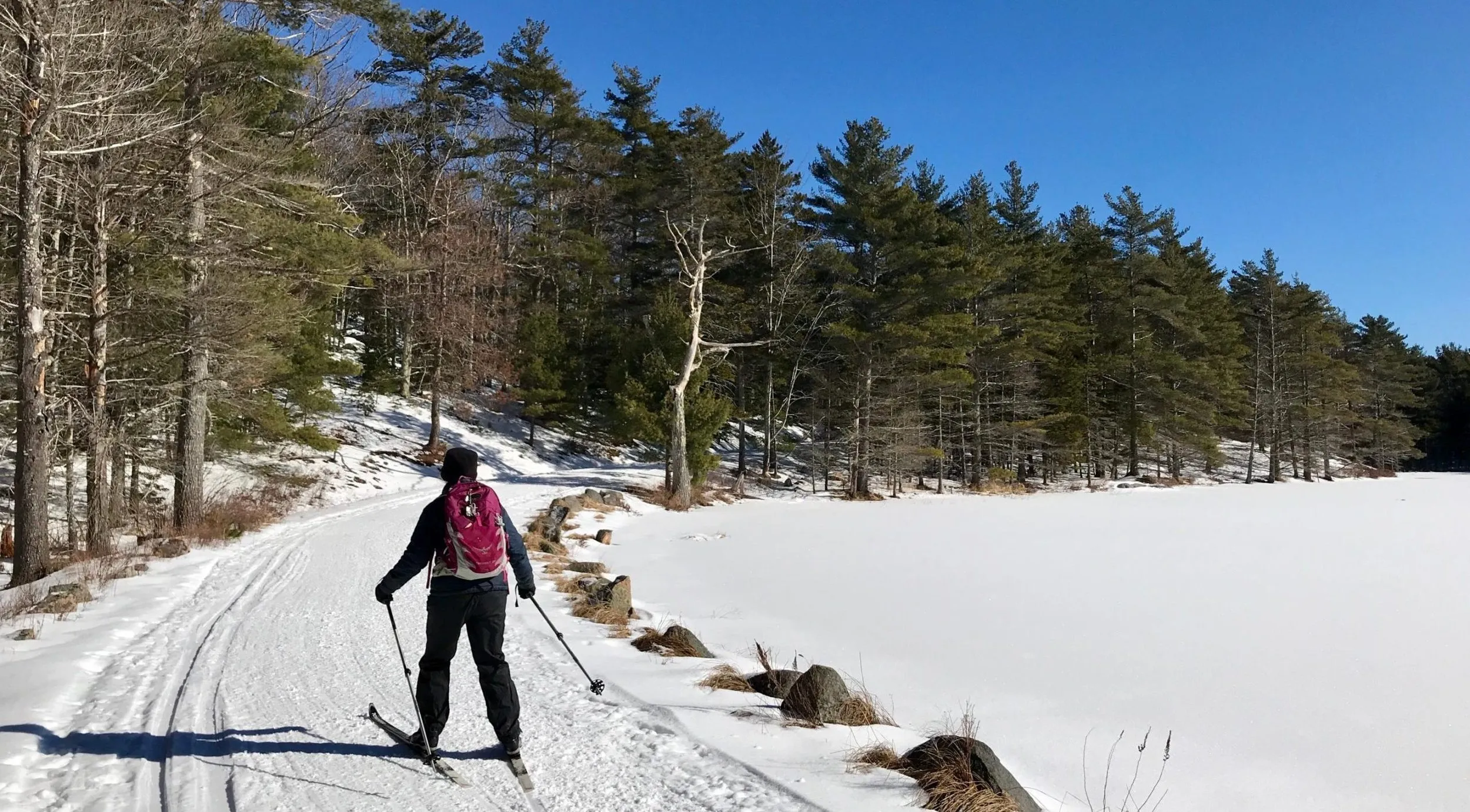 Cross-country skier on snowy Acadia carriage road