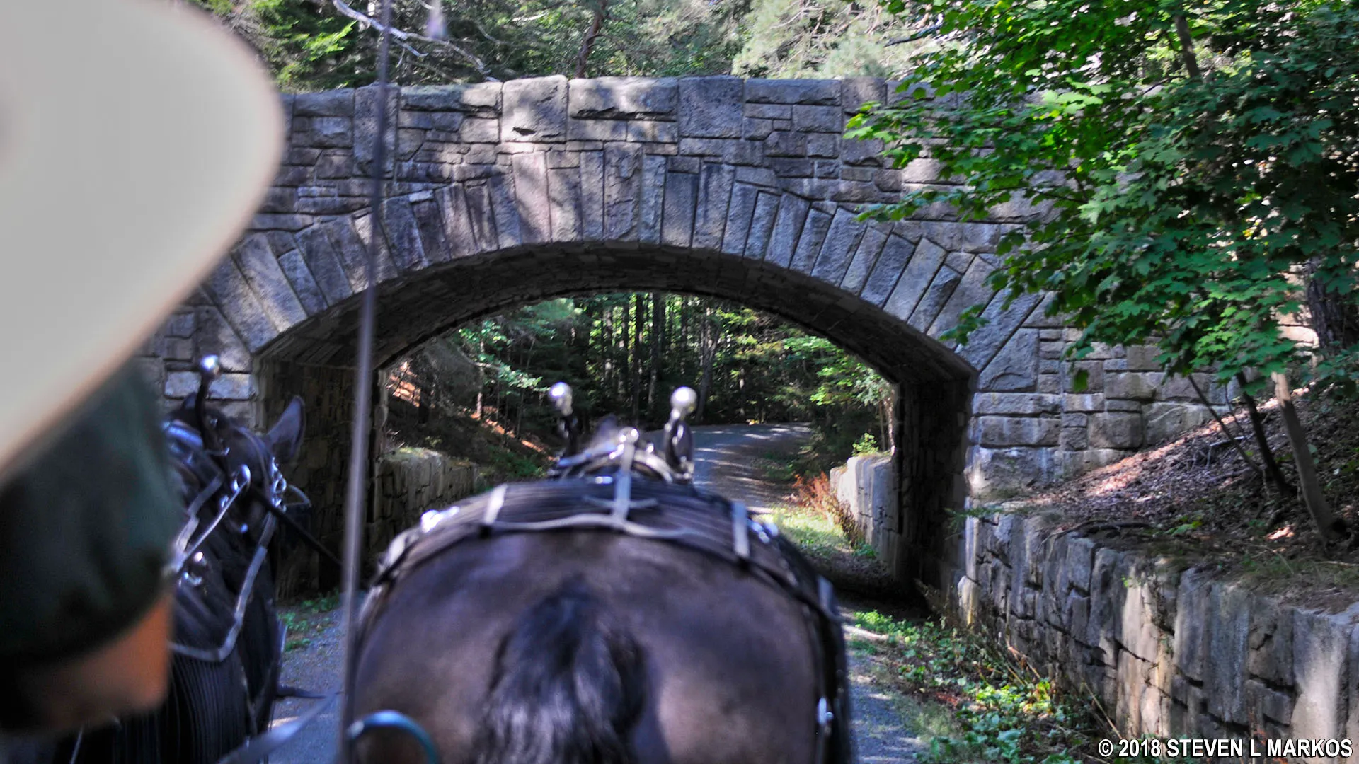 Horseback riders enjoying the scenic Jordan Pond Path in Acadia National Park