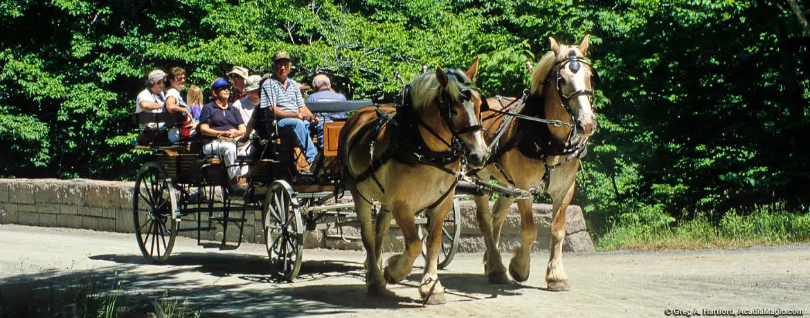 Wildwood Stables - premier carriage tour operator in Acadia National Park