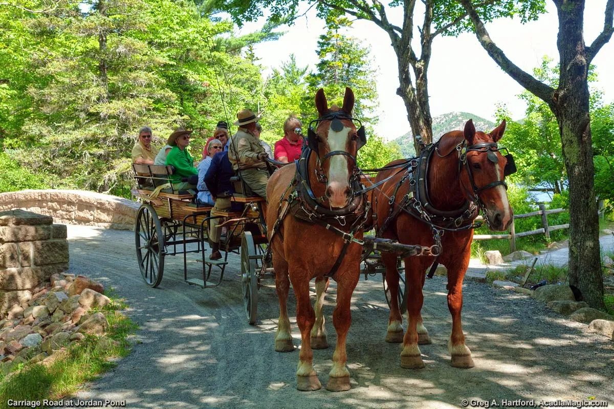 post-Ultimate Guide to Horseback Riding Acadia National Park