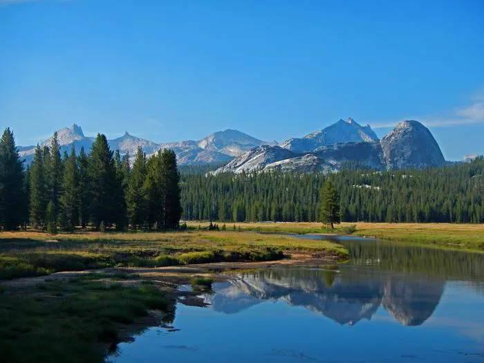 High Sierra camping site in Yosemite with mountain wilderness backdrop