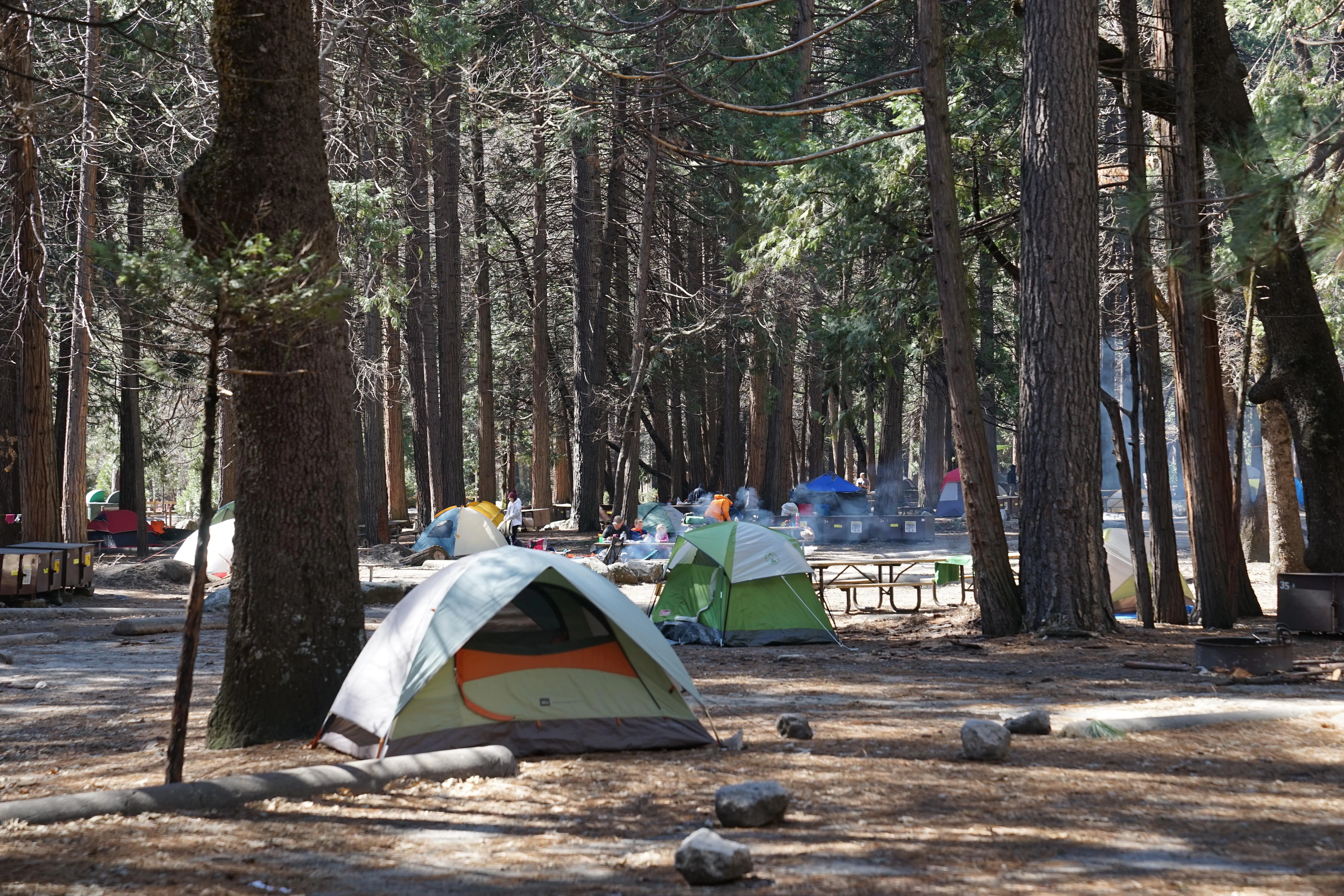 Camp 4 campground in Yosemite National Park showing tents among tall pine trees with granite cliffs in background