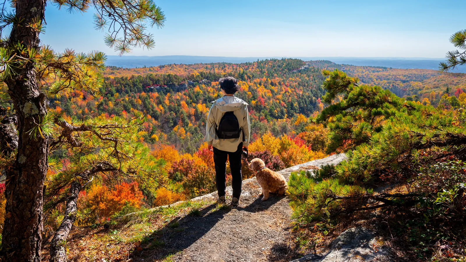 Scenic beginner hiking trail in national park