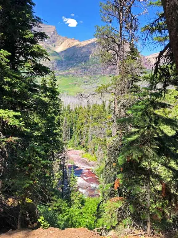 Pristine mountain trail showing Leave No Trace principles