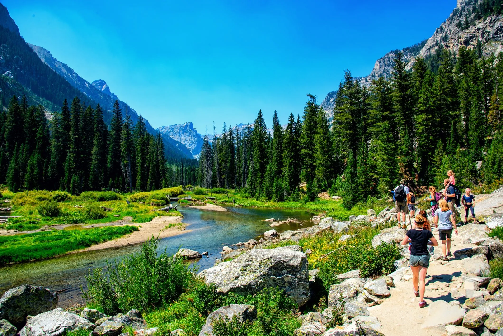 post-The Complete Guide to Hiking for Beginners: Start Your Outdoor Adventure Today