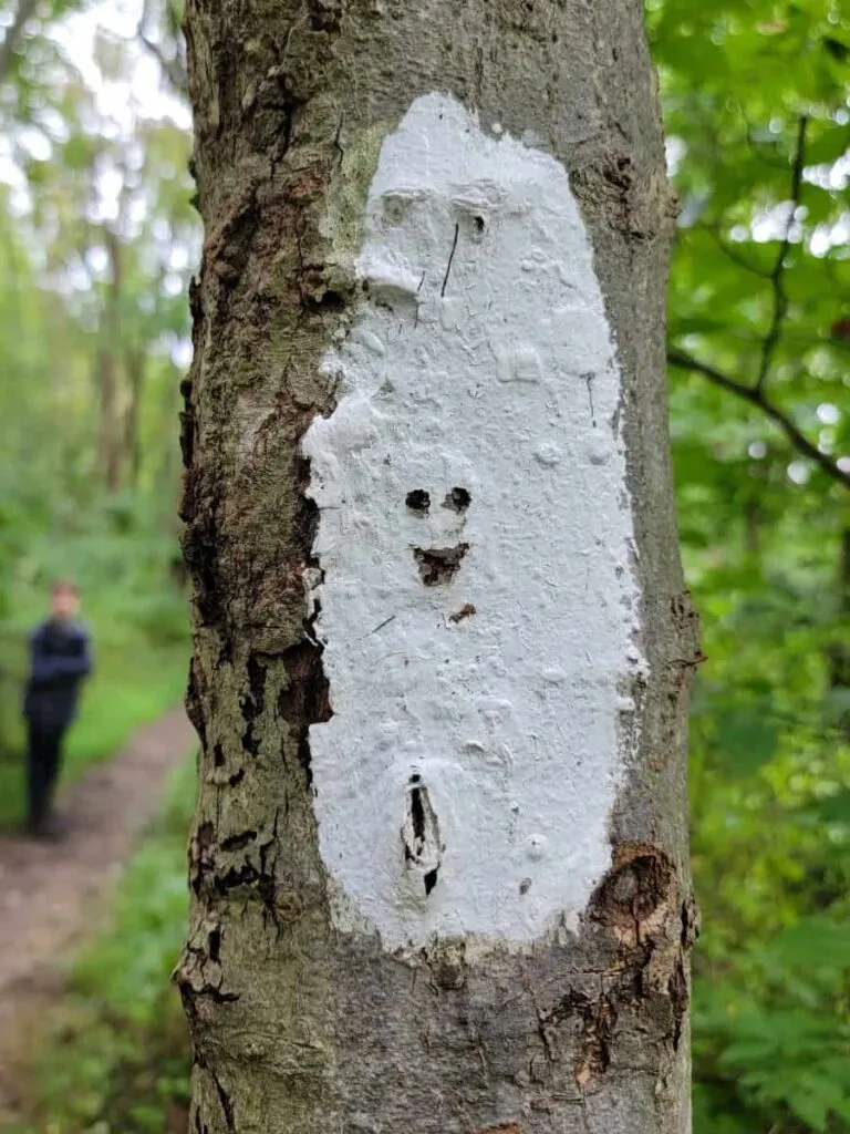 Clear painted trail blaze on tree showing proper visibility and placement