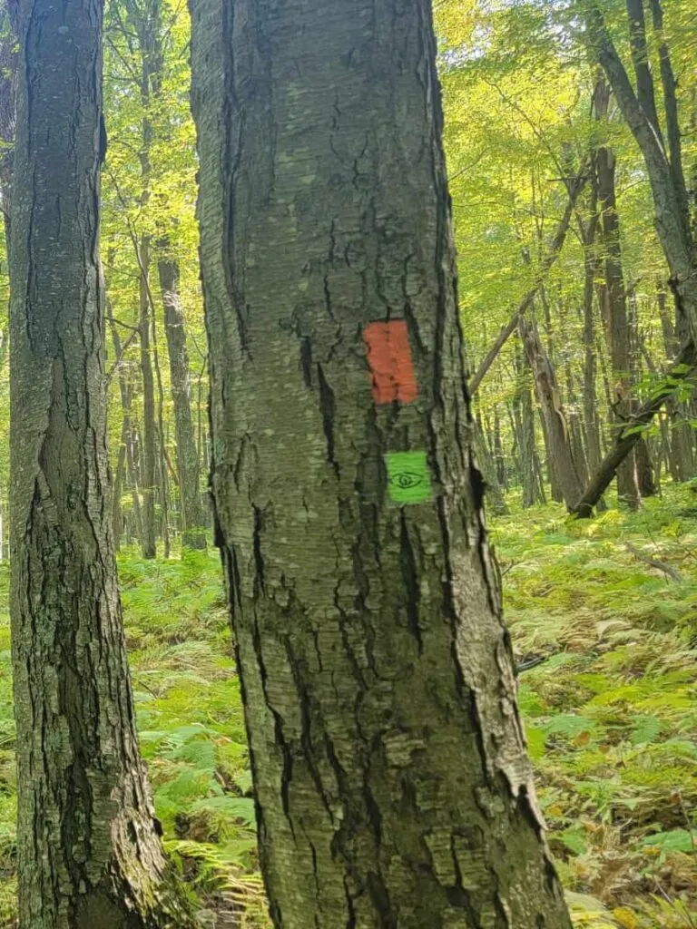 Two-color trail blazes showing overlapping trail systems
