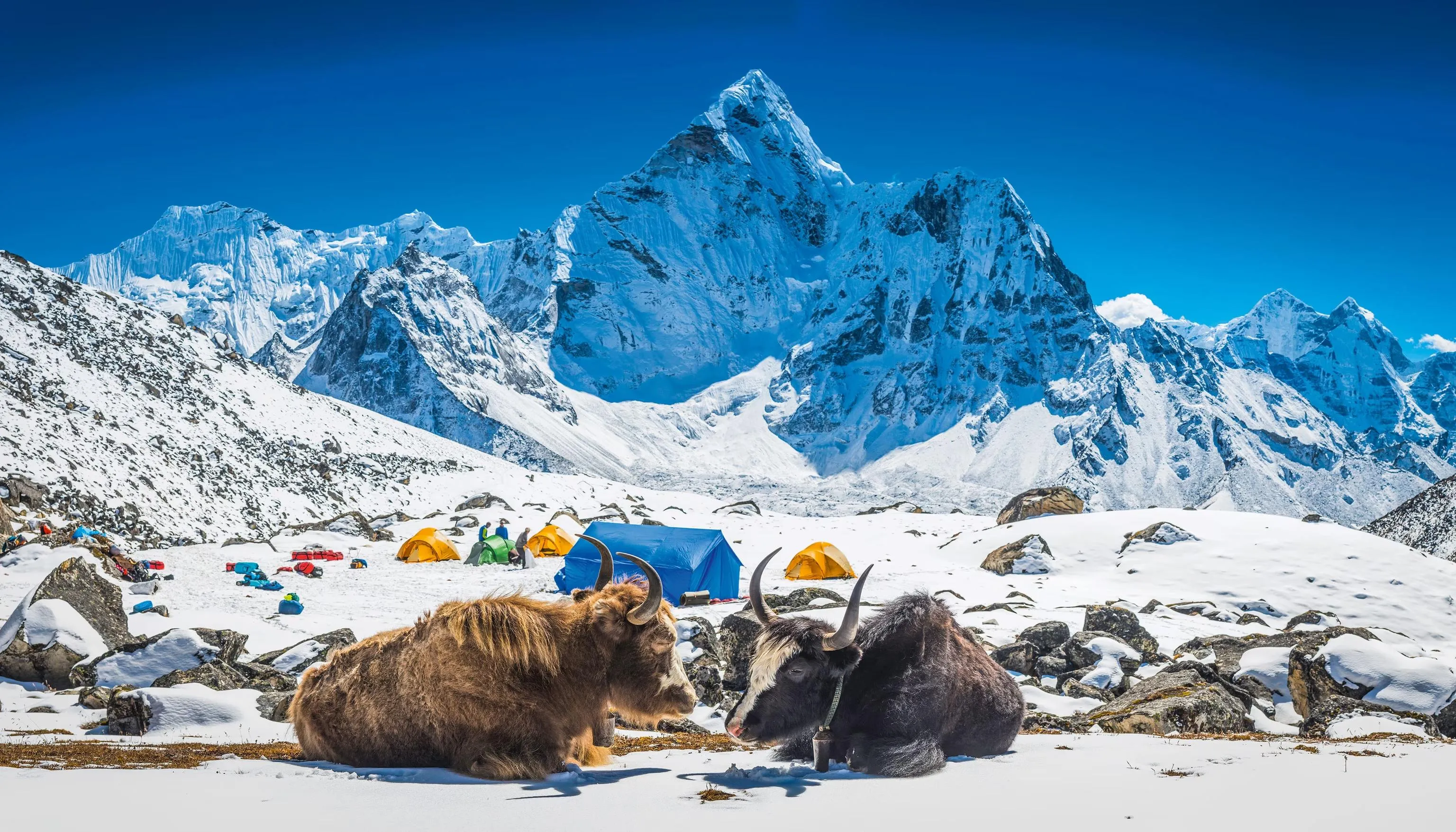 Safety equipment and preparation for Himalayan trekking including first aid kit and navigation tools