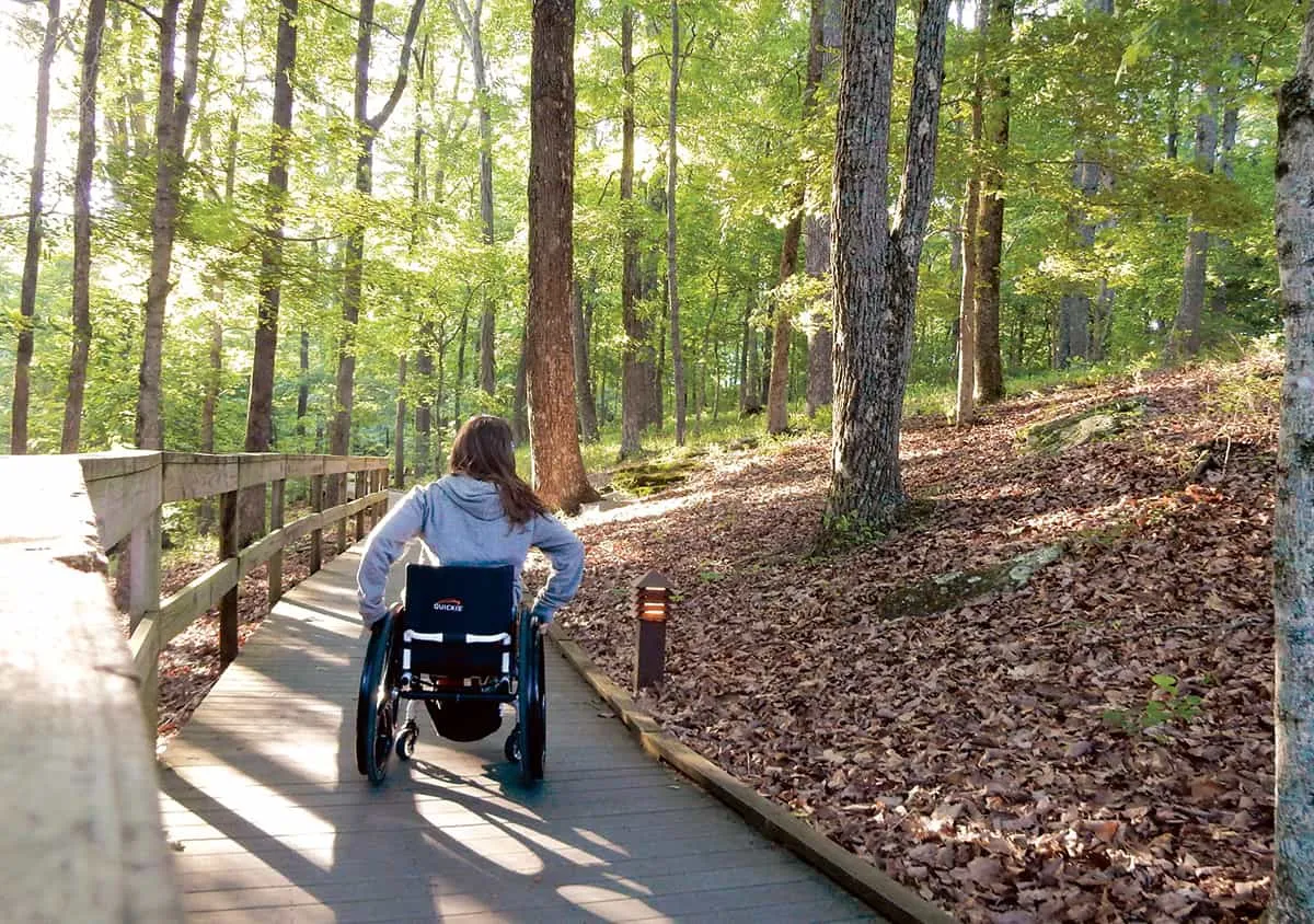 Peaceful accessible heritage trail through natural forest setting with smooth paved surface ideal for wheelchair users