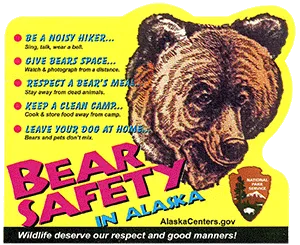 Bear safety identification guide showing proper hiking protocols