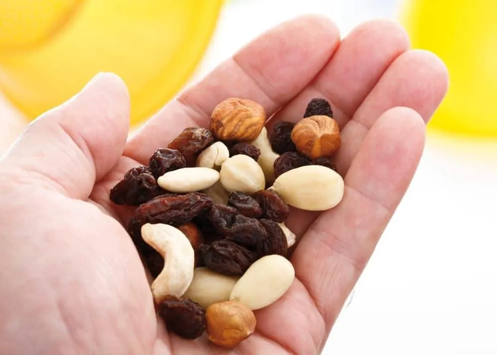 Trail-tested protein-rich hiking snacks including jerky, nuts, and energy bars for safe trail snacking