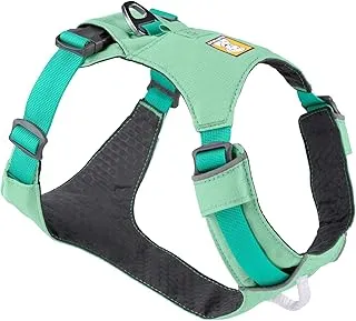 Dog wearing Ruffwear hiking harness on mountain trail