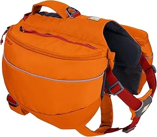 Dog hiking gear laid out for backpacking adventure