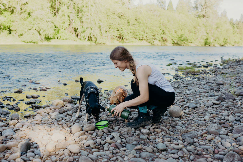 Dog drinking water during hiking adventure - essential for hiking with pets checklist