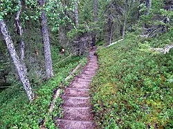 Long distance hiking trail in Finland showing different types of hiking experiences available