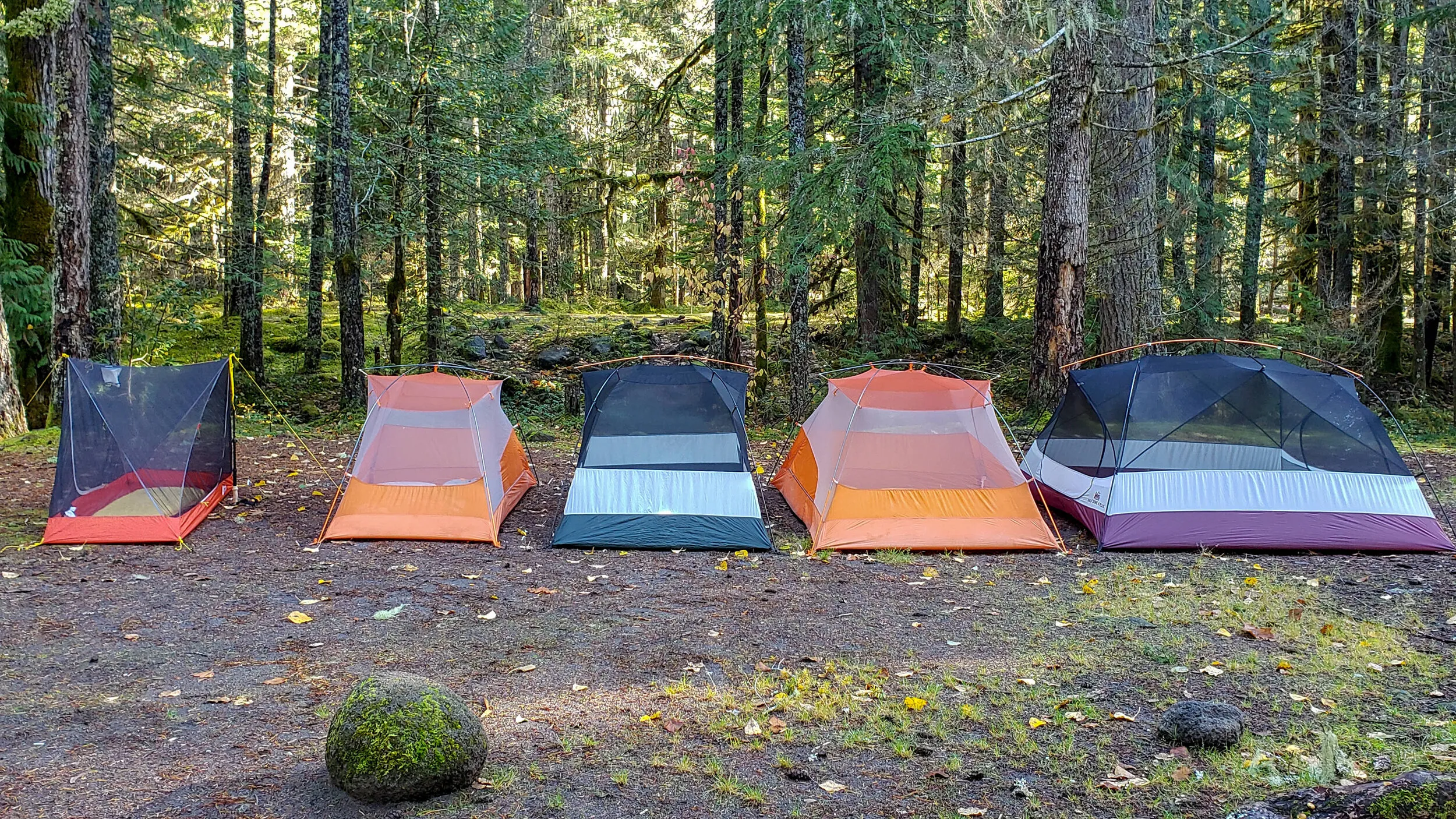 Tent size comparison showing different camping tents set up outdoors for size reference