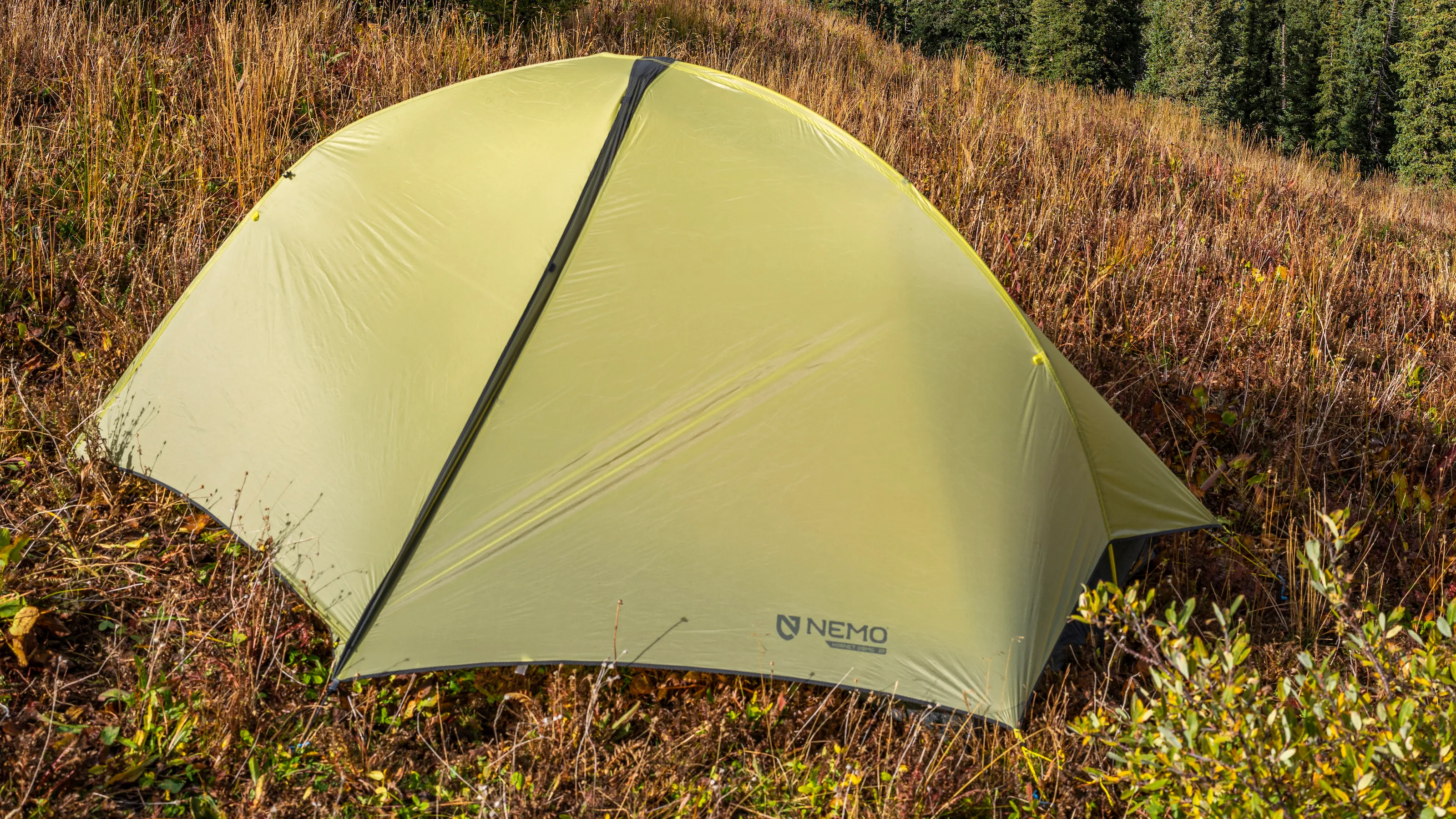 Water beading on waterproof tent fabric during rain testing