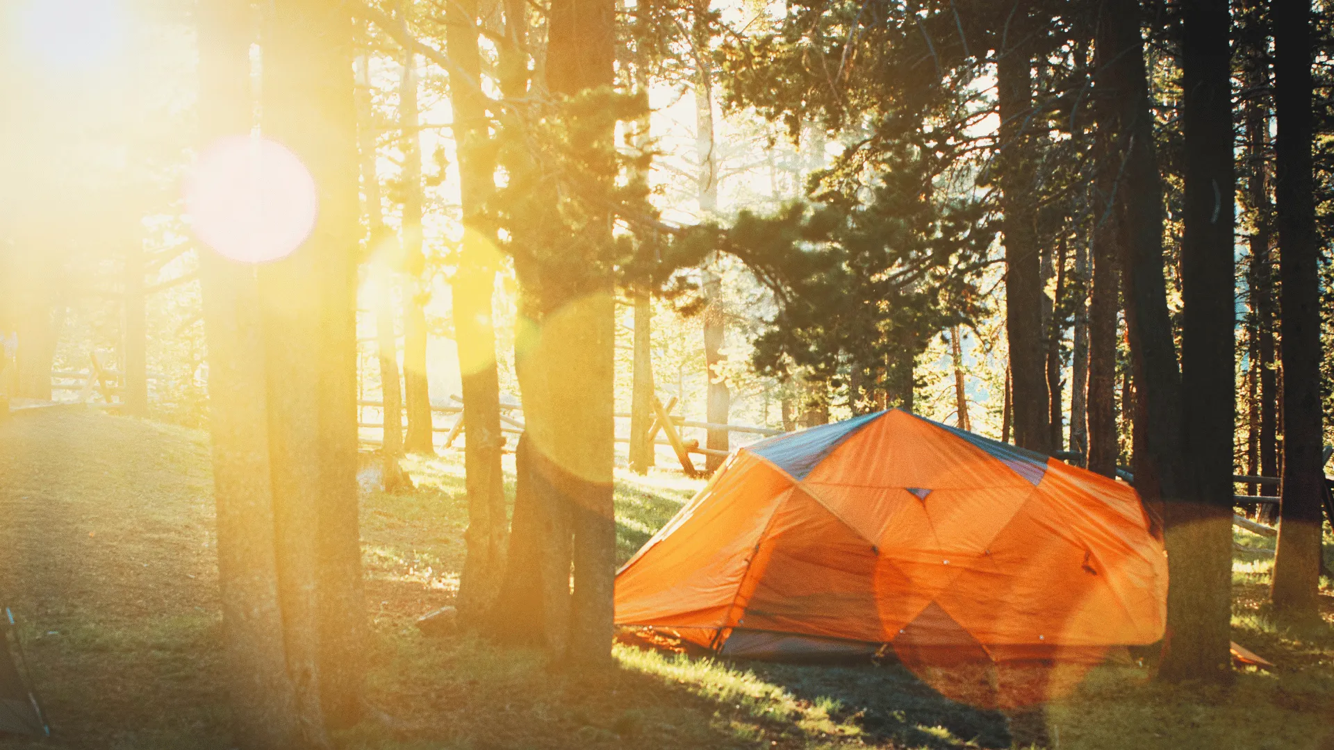 post-Best Multi Room Tent: Ultimate Guide to Family Camping Shelters 2024