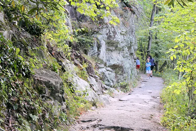 post-The Complete Guide to Short and Easy Hiking Trails: Perfect Adventures for Beginners and Families