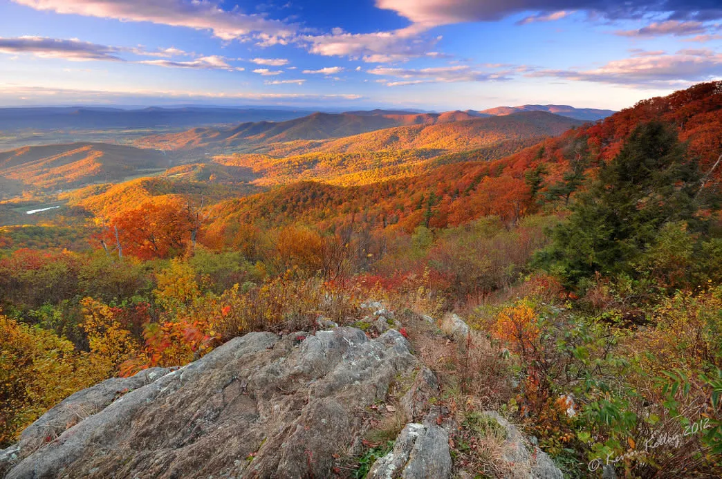 post-Shenandoah Fall Colors vs Other Parks: The Ultimate 2025 Comparison Guide
