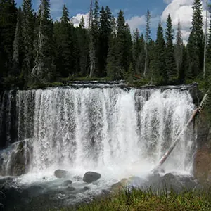 post-What to Expect in Yellowstone in June: The Complete Guide