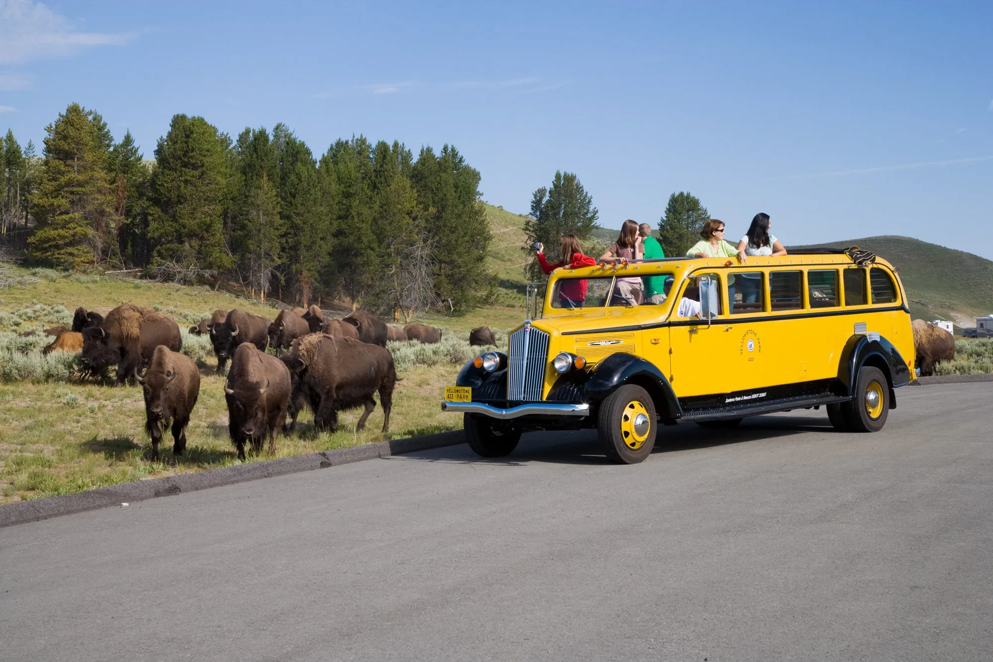 post-Complete Guide to Bus Tours of Yellowstone National Park: Expert Tips &amp; Best Options 2025