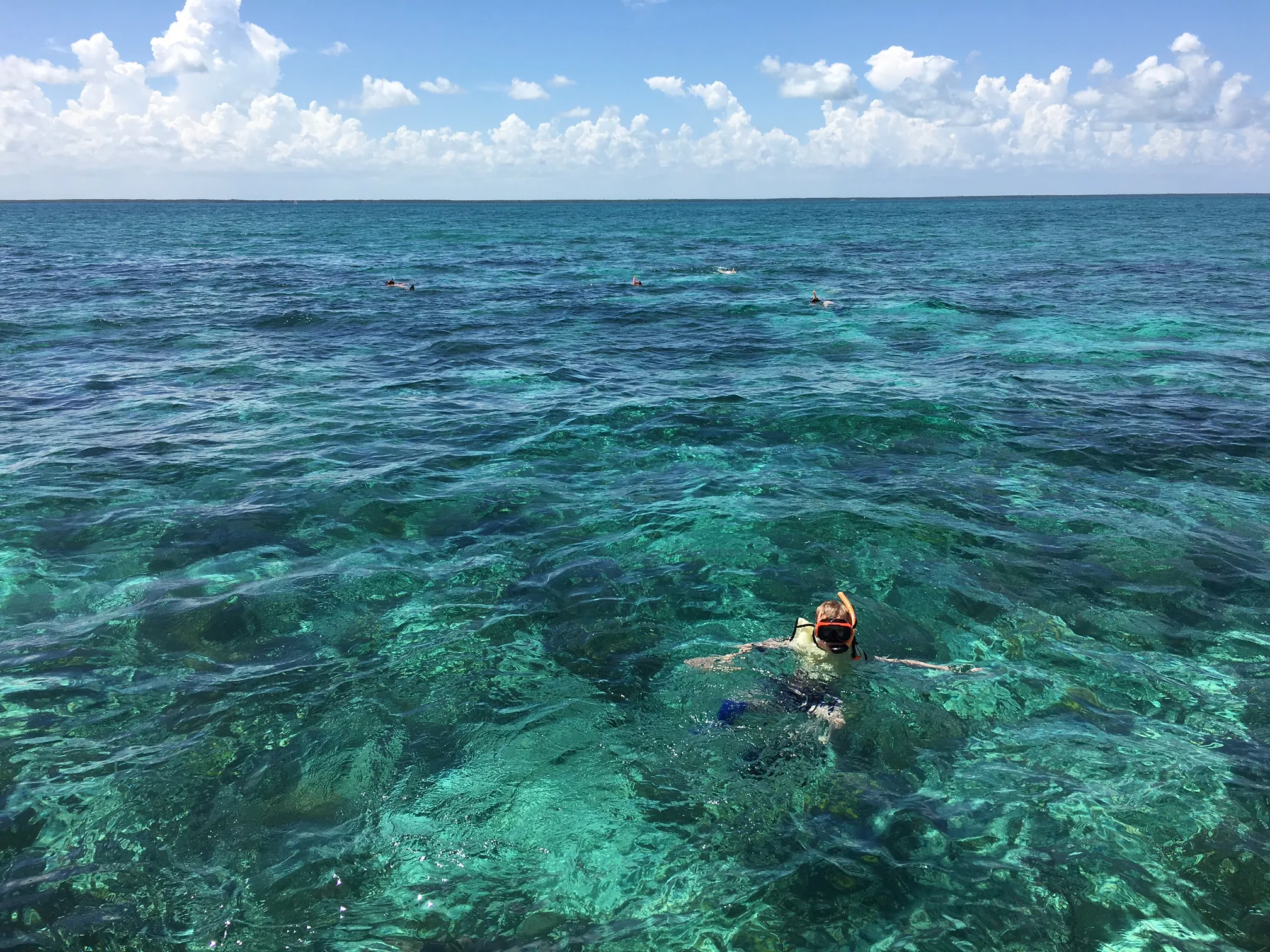 post-Ultimate Guide to Biscayne National Park Diving: Everything You Need to Know for 2025