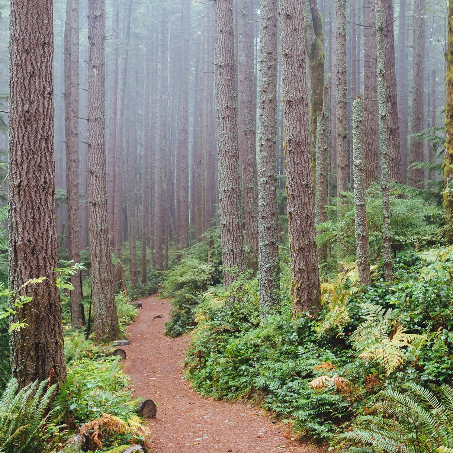 post-Best Secret Hiking Trails: Discover America's Hidden Gems