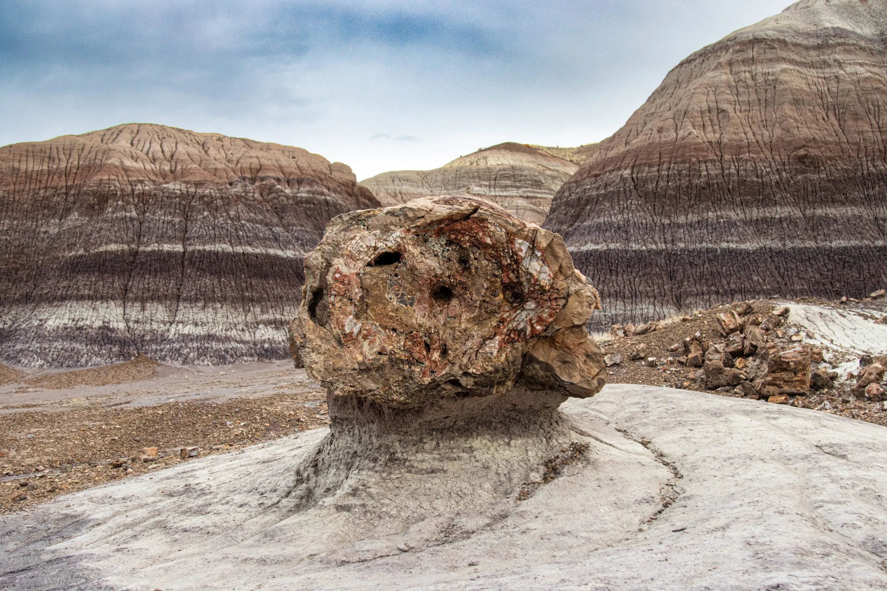 post-Your Complete Guide to Petrified Forest National Park: Hidden Gems &amp; Essential Tips