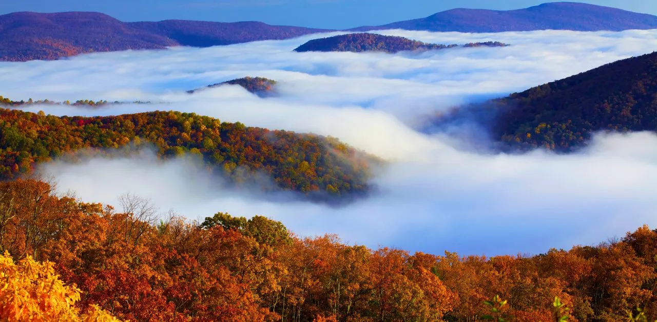 post-The Ultimate Shenandoah Autumn Camping Guide: Expert Tips for Fall Adventures