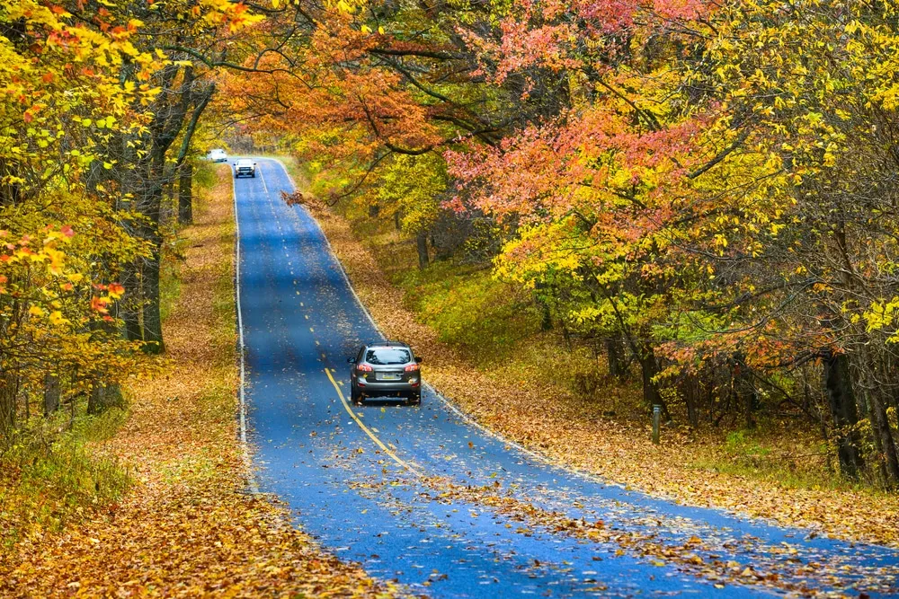 post-Autumn Exploration Guide for Shenandoah National Park