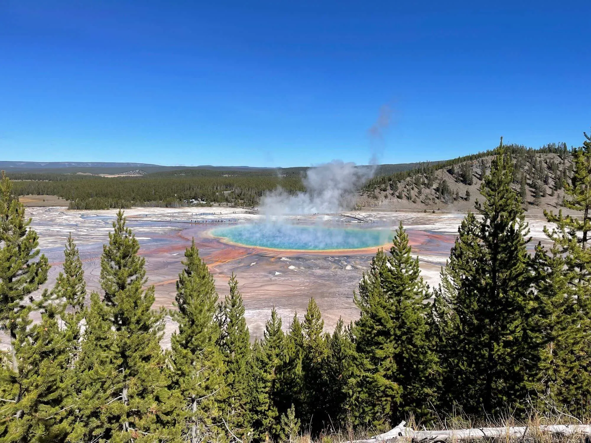 post-Worst Time to Visit Yellowstone: Insider's Guide to Avoiding Crowds &amp; Weather Challenges