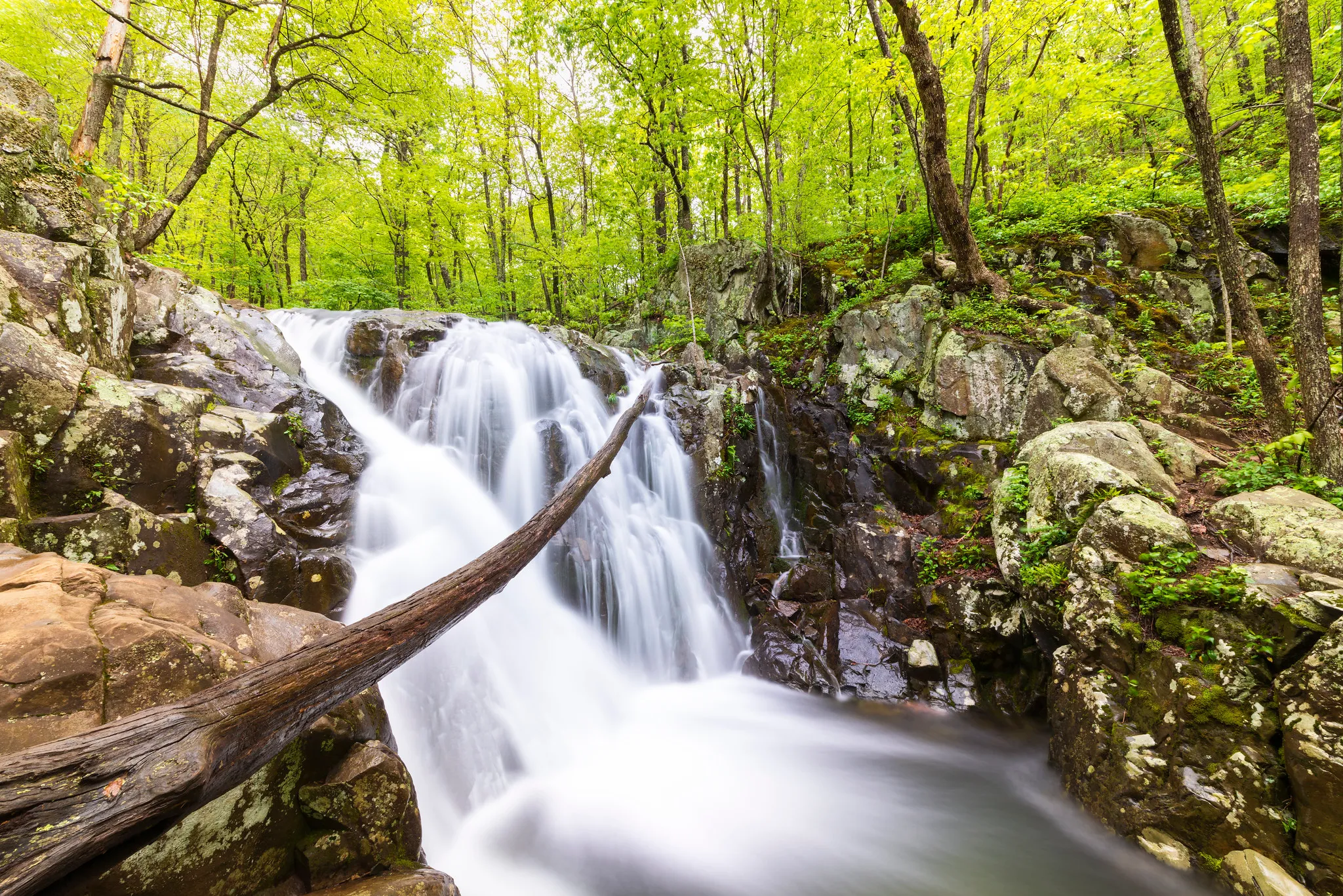 post-Ultimate Guide to Hiking Near DC in Shenandoah National Park: Best Trails, Gear &amp; Expert Tips