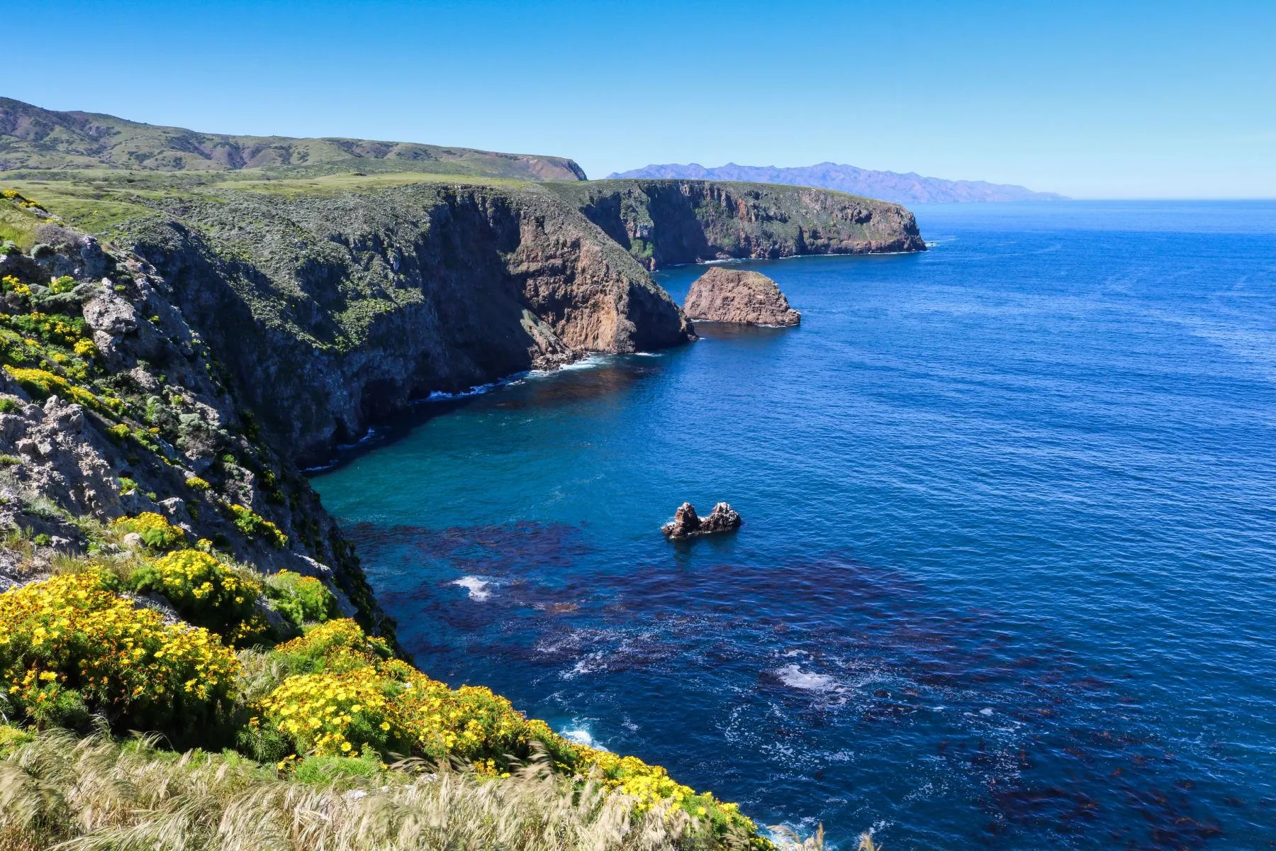 post-Channel Islands National Park Travel Tips: Your Complete Guide to California's Hidden Paradise