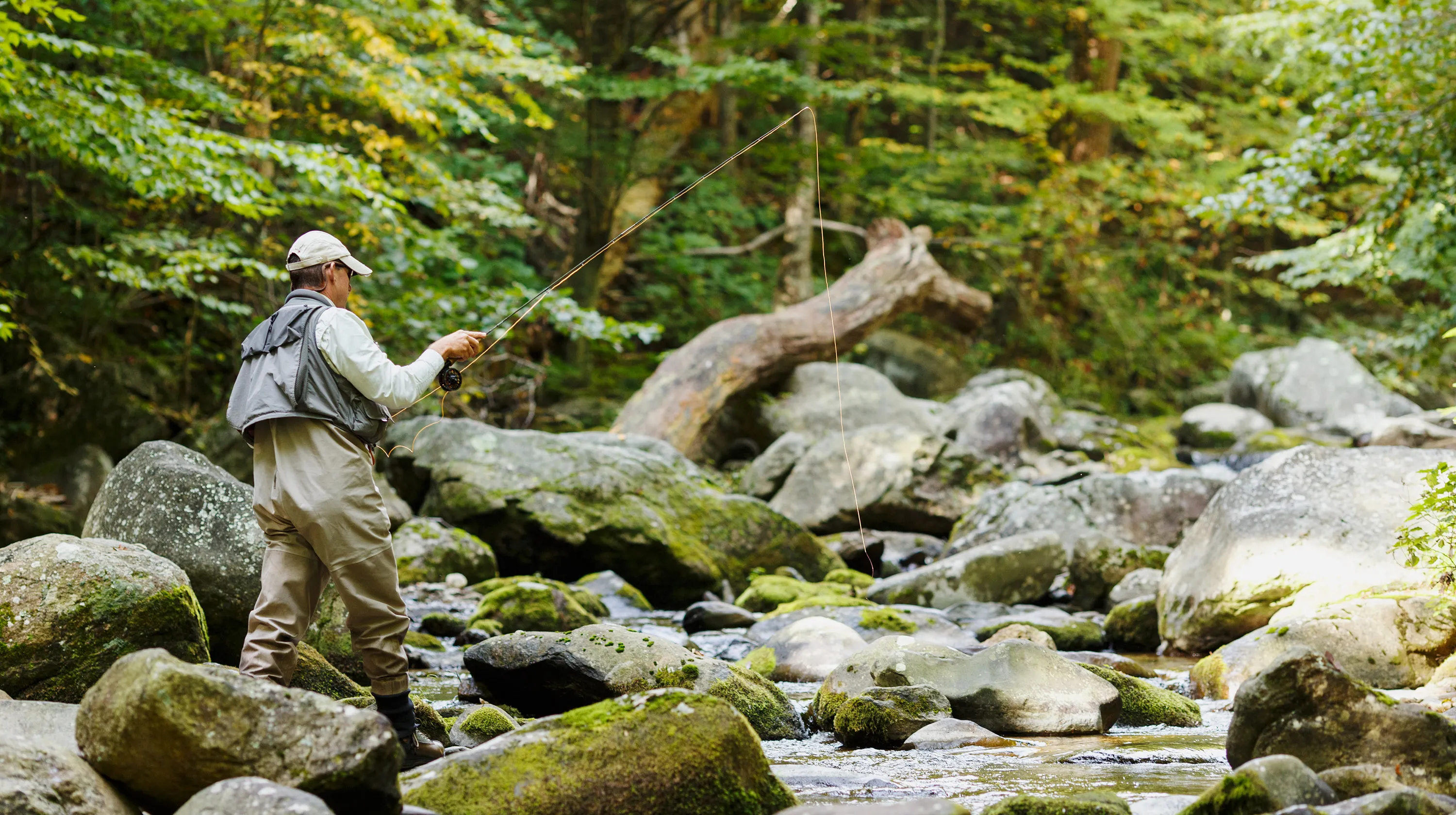 post-Shenandoah National Park Fishing: Complete Guide to Brook Trout Paradise