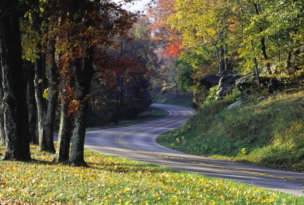 post-Trip from DC to Shenandoah National Park: The Complete 2025 Guide