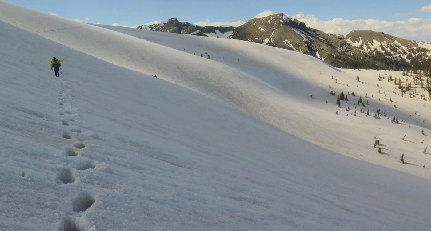 post-Ultimate Guide to LL Bean Winter Hiking Pants: Expert Reviews ; Buying Guide 2025