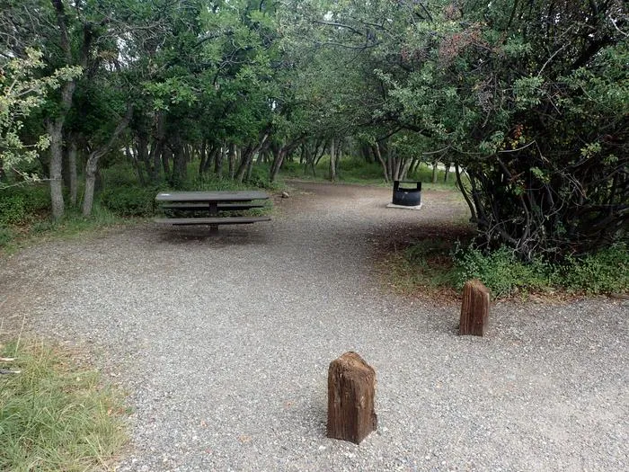South Rim Campground site showing typical campsite layout with picnic table and fire ring