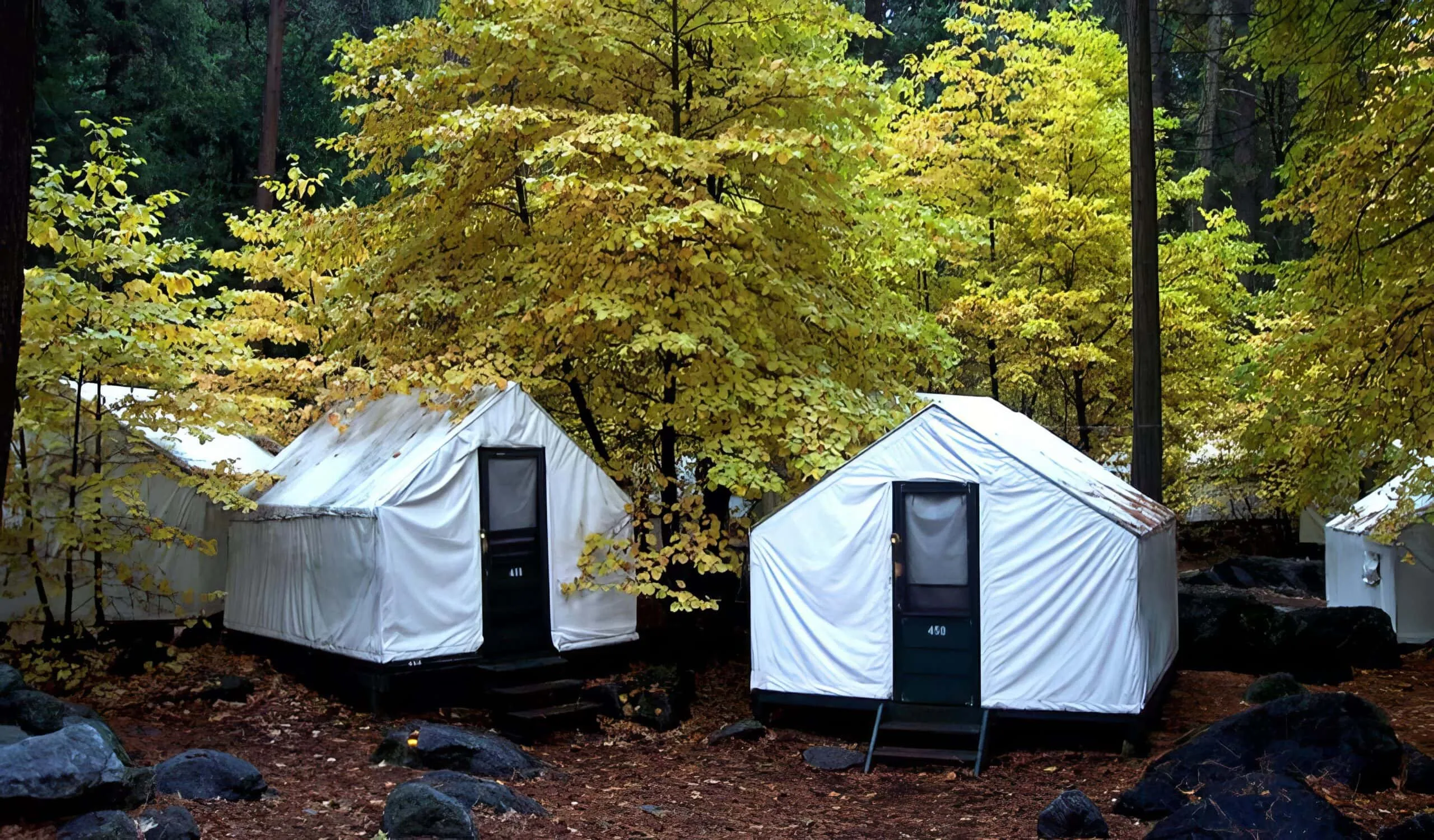 Curry Village tent cabins in Yosemite with canvas tents set up beneath tall pine trees with granite cliffs in background