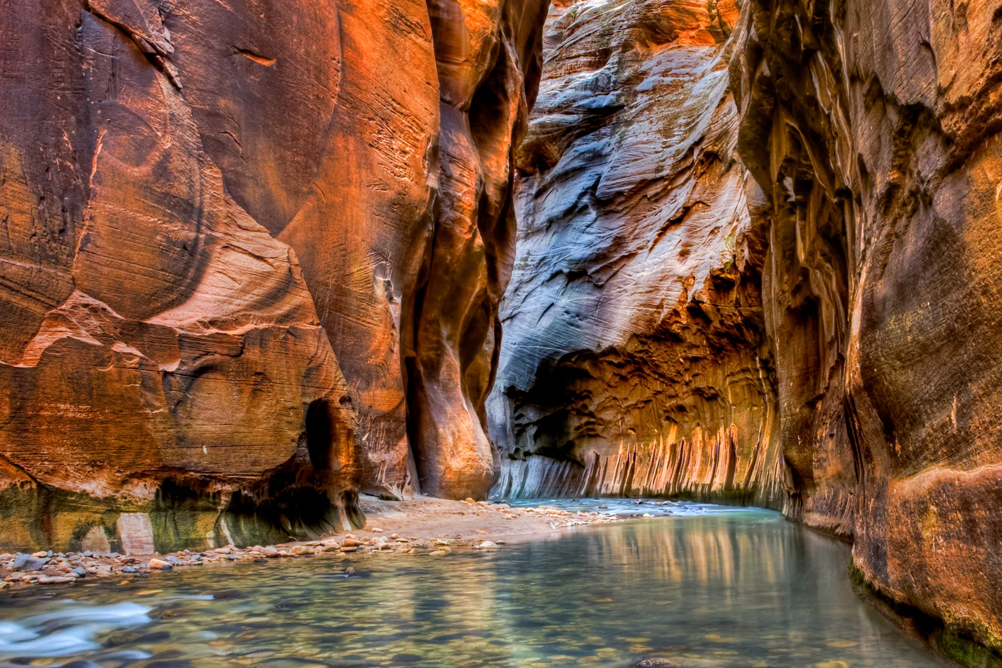 Hikers wading through the Virgin River in The Narrows slot canyon