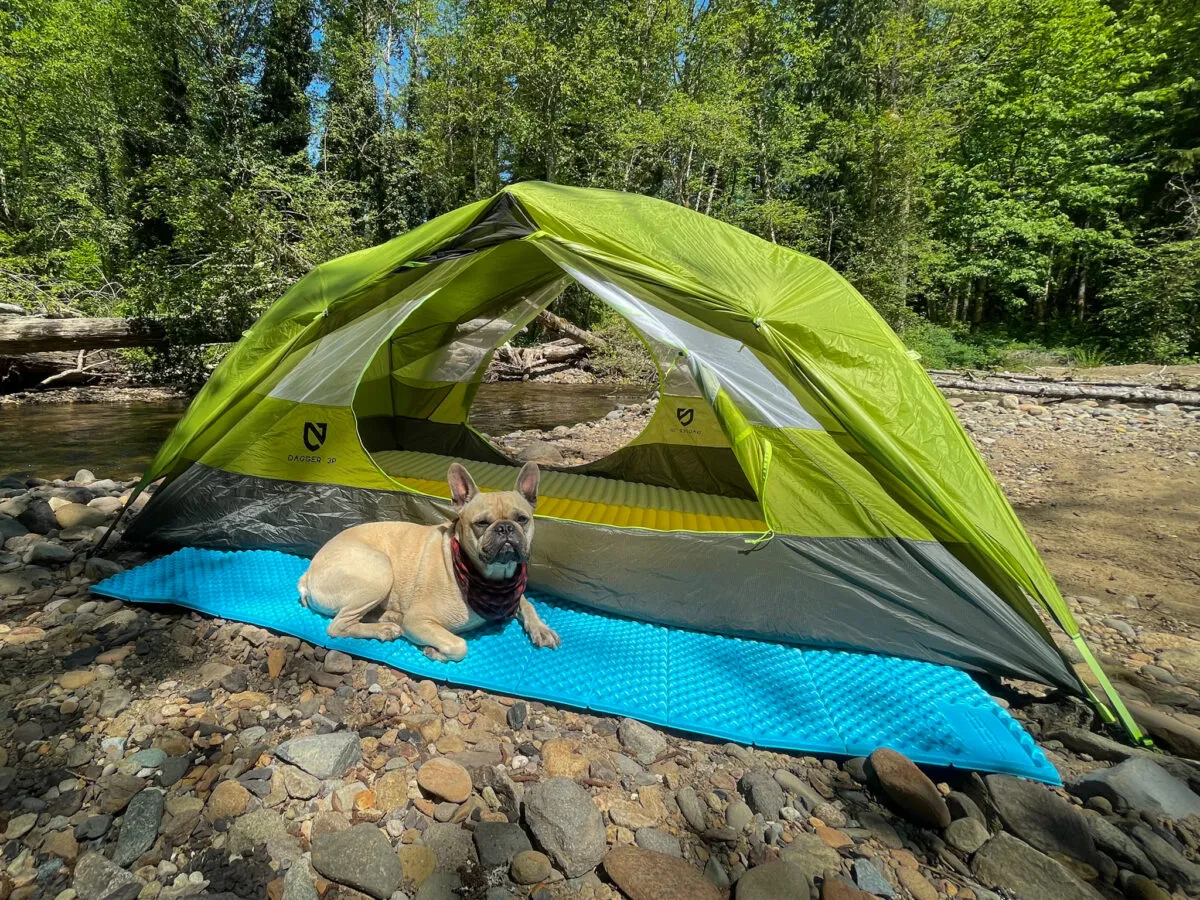 Nemo Dagger 3P tent setup in alpine wilderness with backpacking gear
