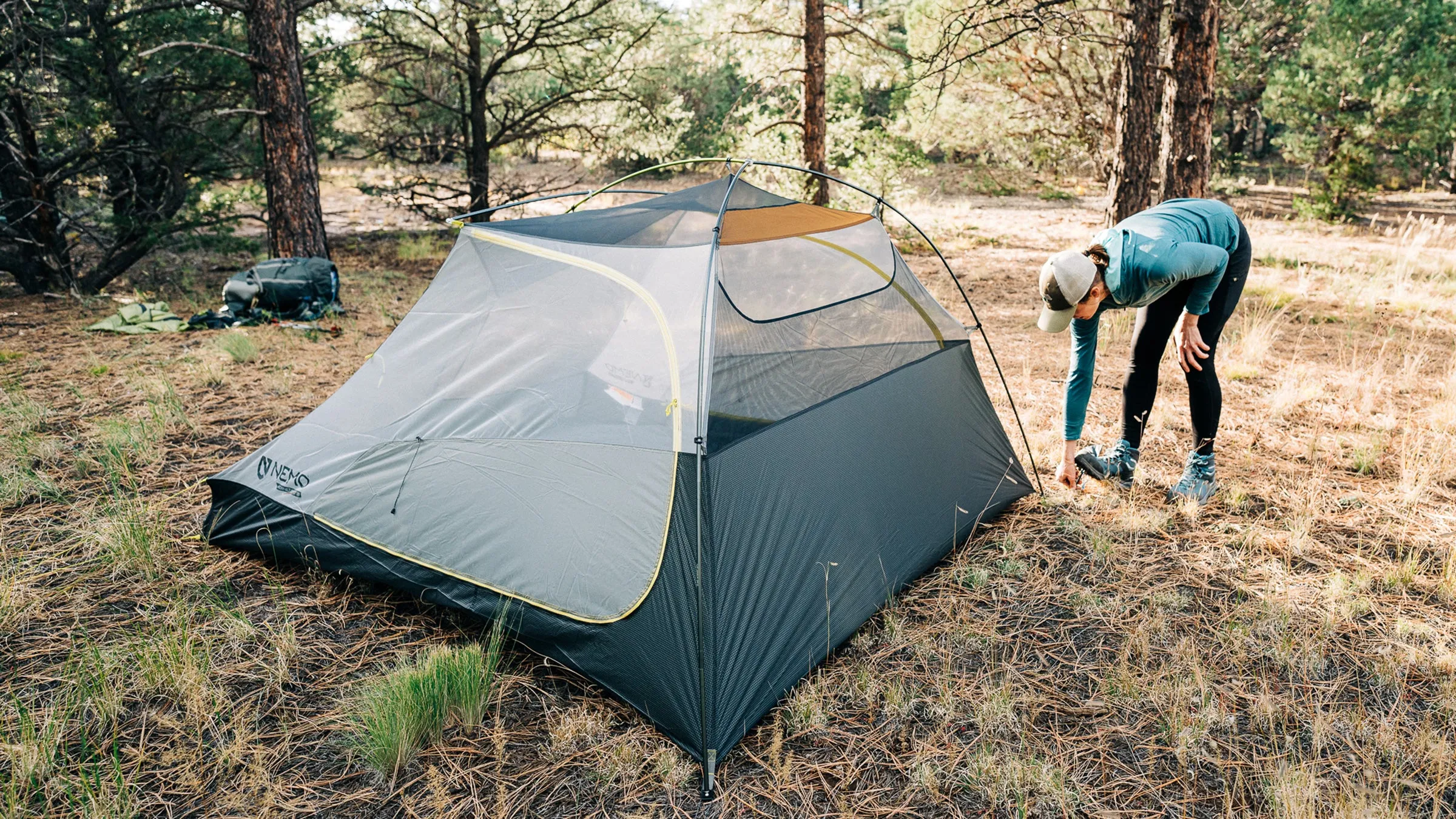 Collection of best 3-season backpacking tents displayed outdoors showing various models and designs