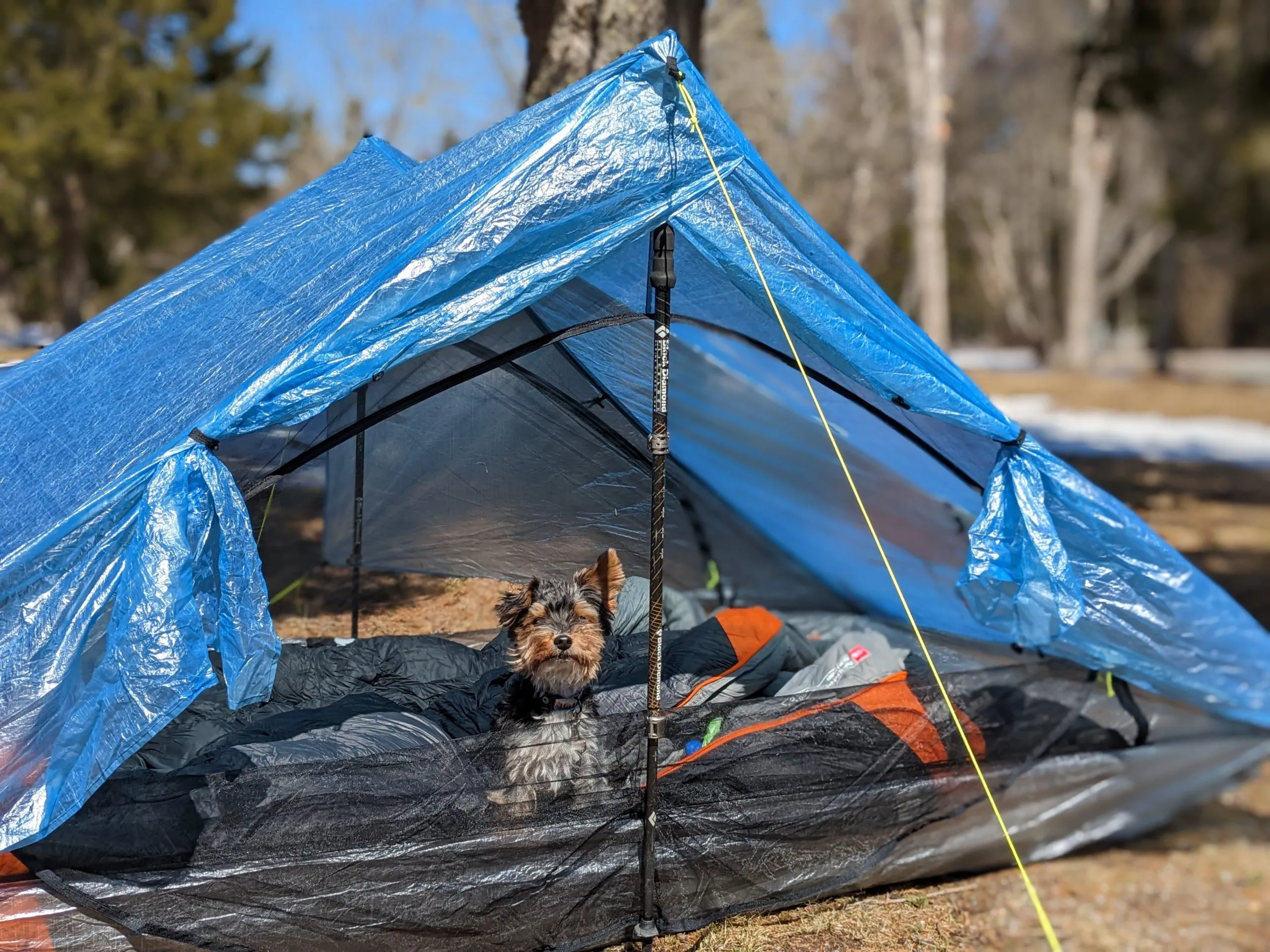 Zpacks tent in extreme weather conditions