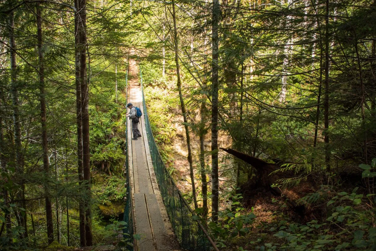 Hiker with appropriate gear crossing wooden bridge on forest trail, demonstrating proper equipment for easy forest hiking trails